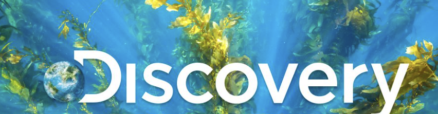 Discovery
