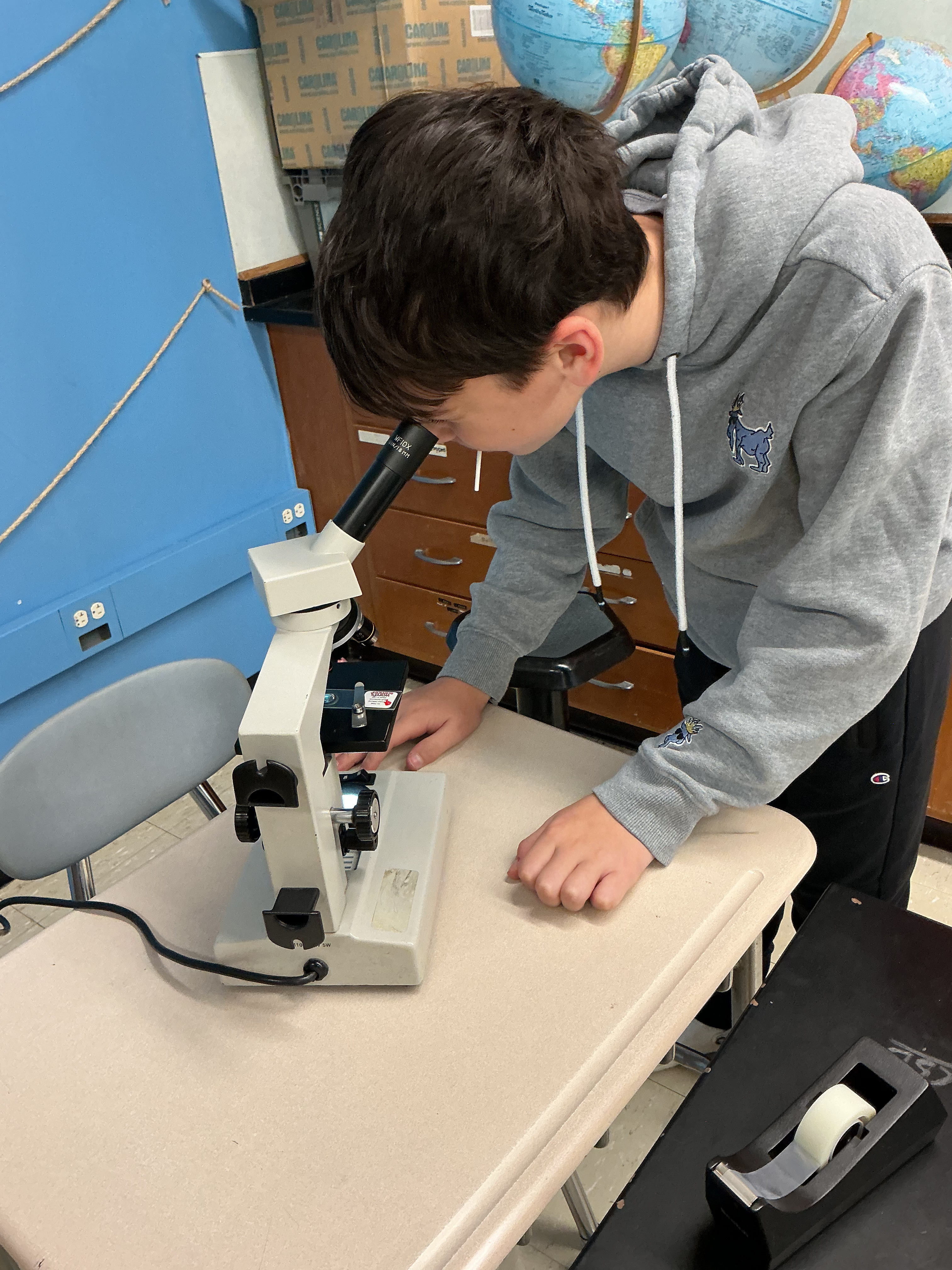 Looking through the microscope