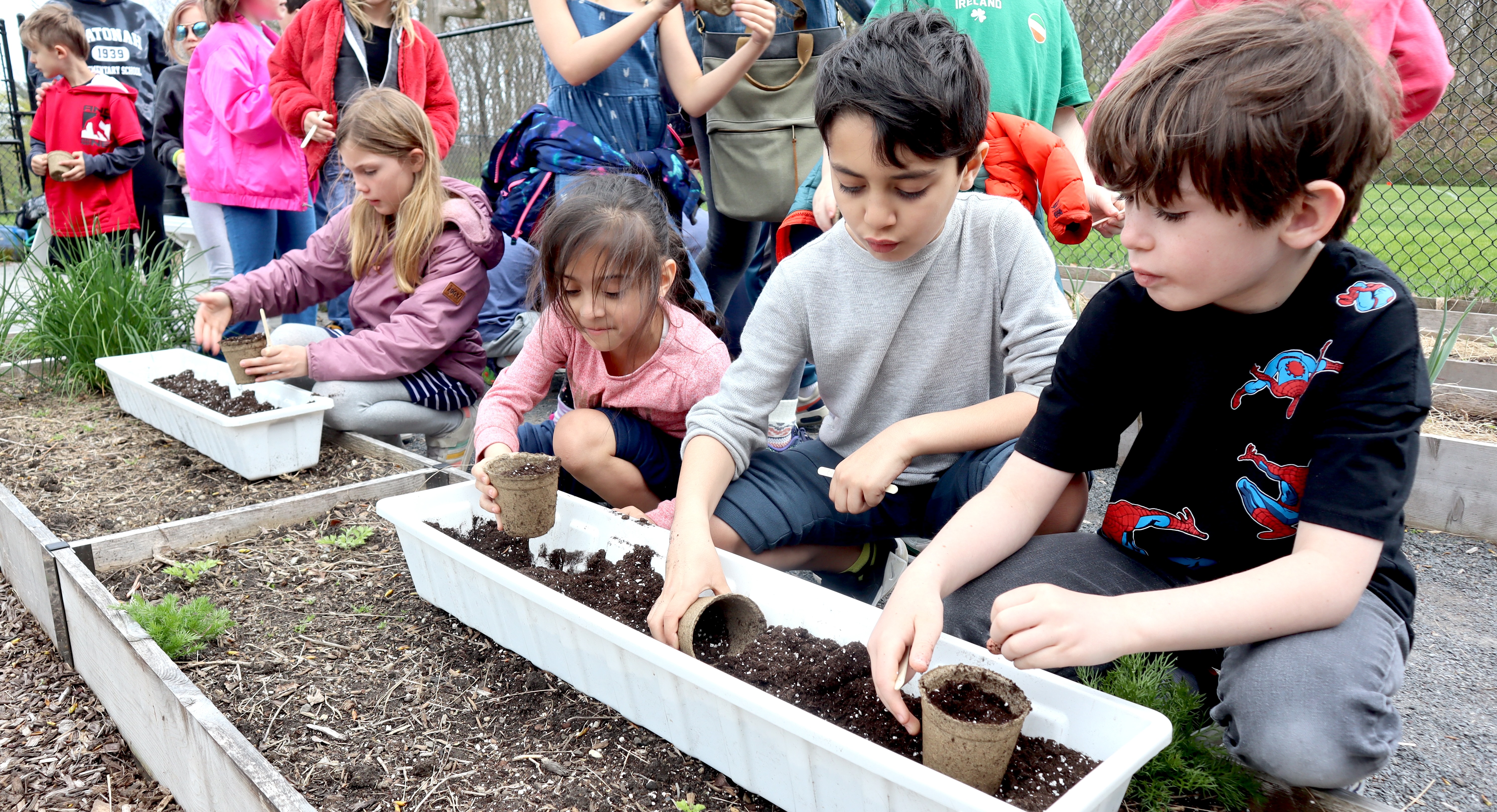 learning at Katonah Elementary