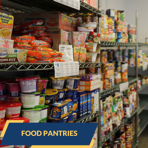 shelves of food that reads "food pantries"