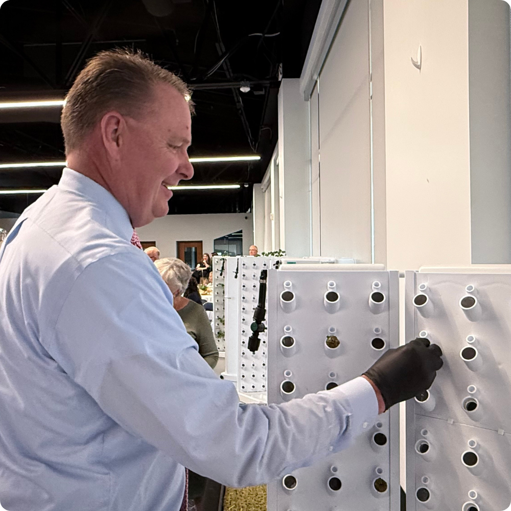 Students engaged in classroom activity