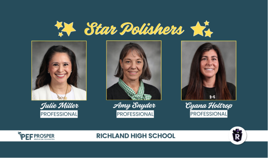 Q3 Professional Star Polishers