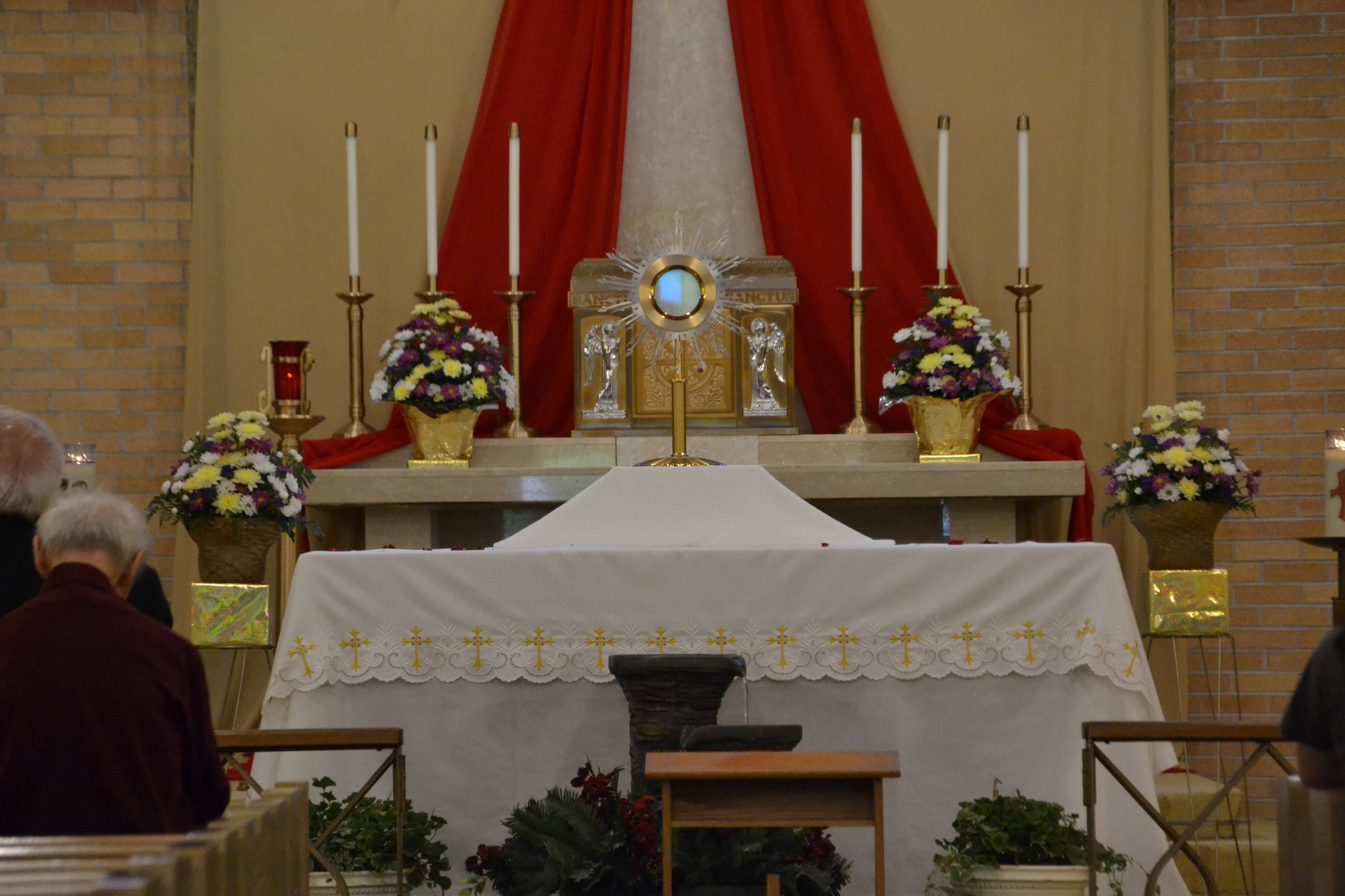 Adoration at St Teresa of Avila Akron 