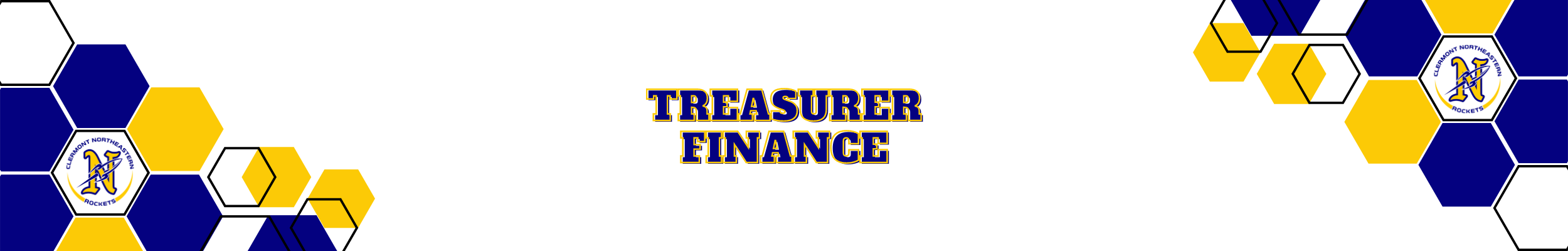 Treasurer and Finance