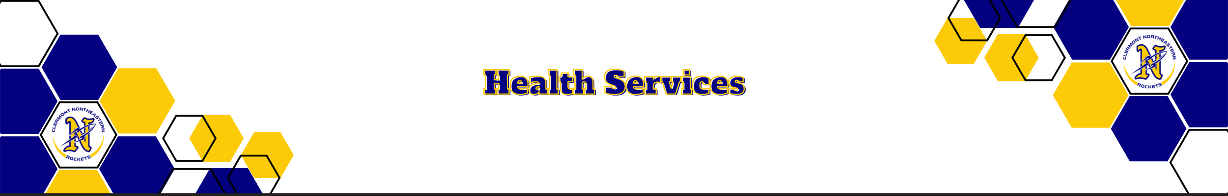 Health Services