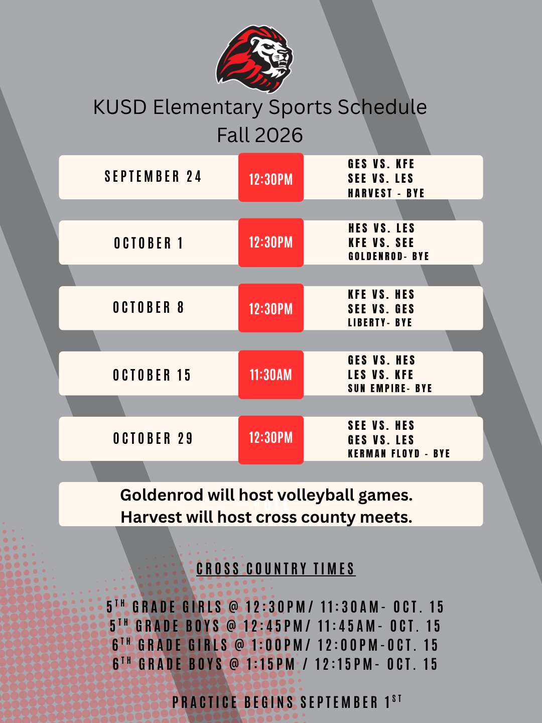 Elementary Sports