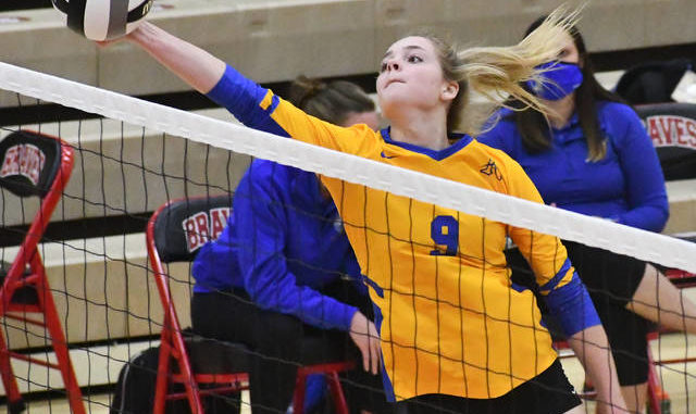 Volleyball Player