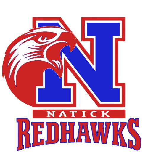 natick hawck logo