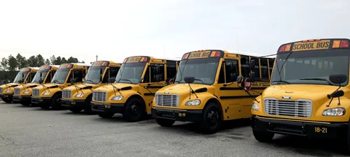 buses