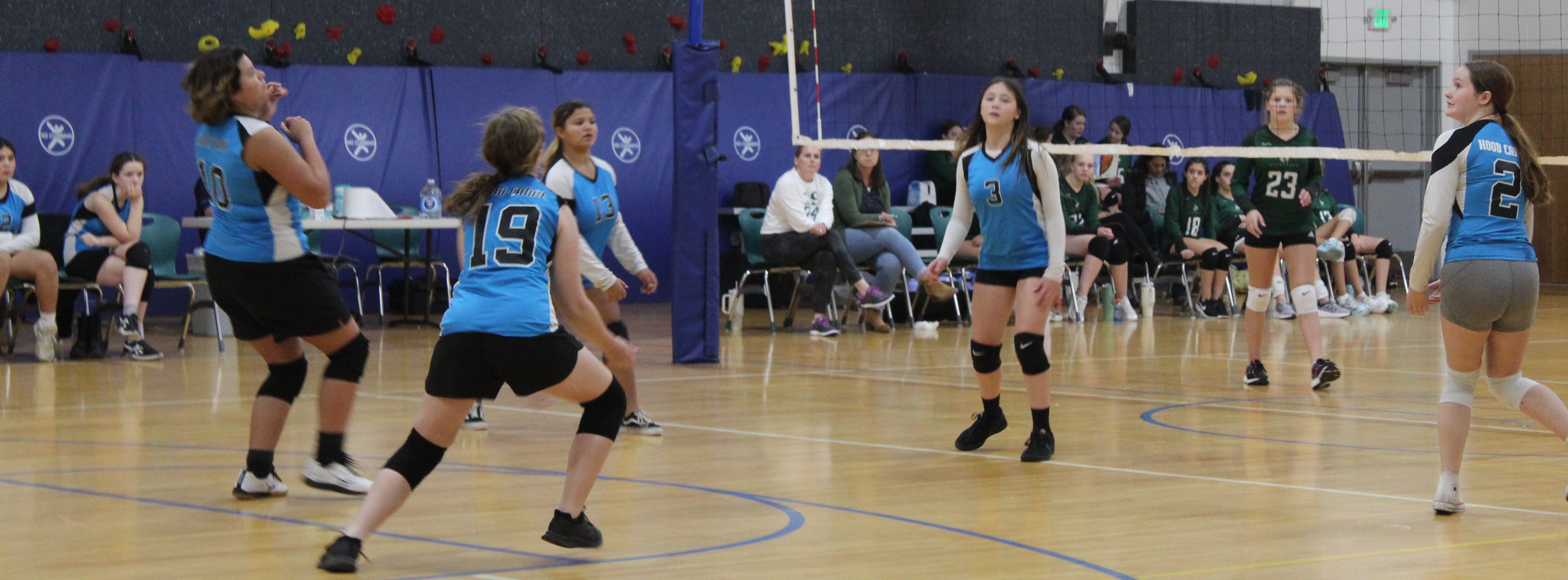 Girls playing volleyball