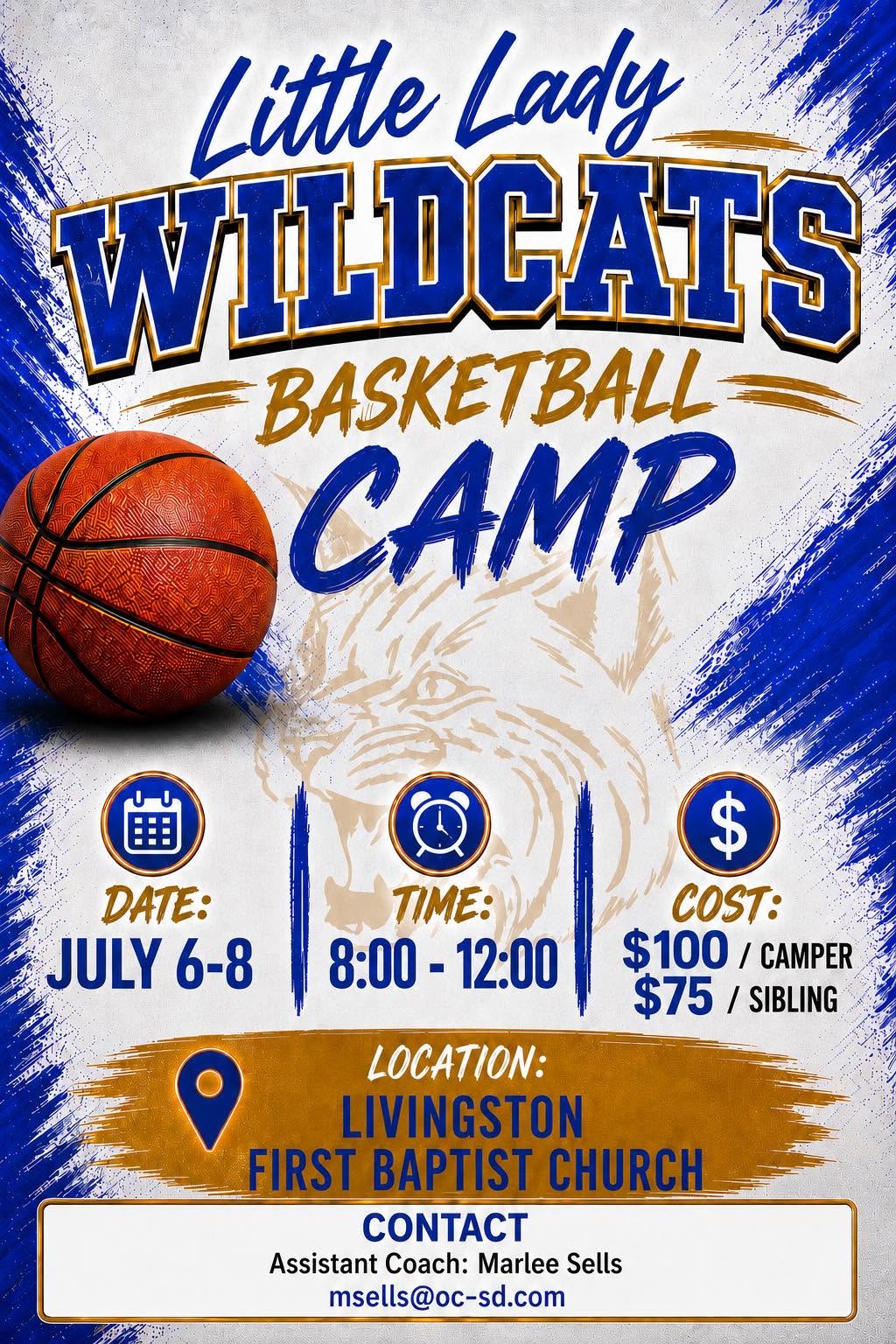 LA Lady Wildcats Little Girls Camp