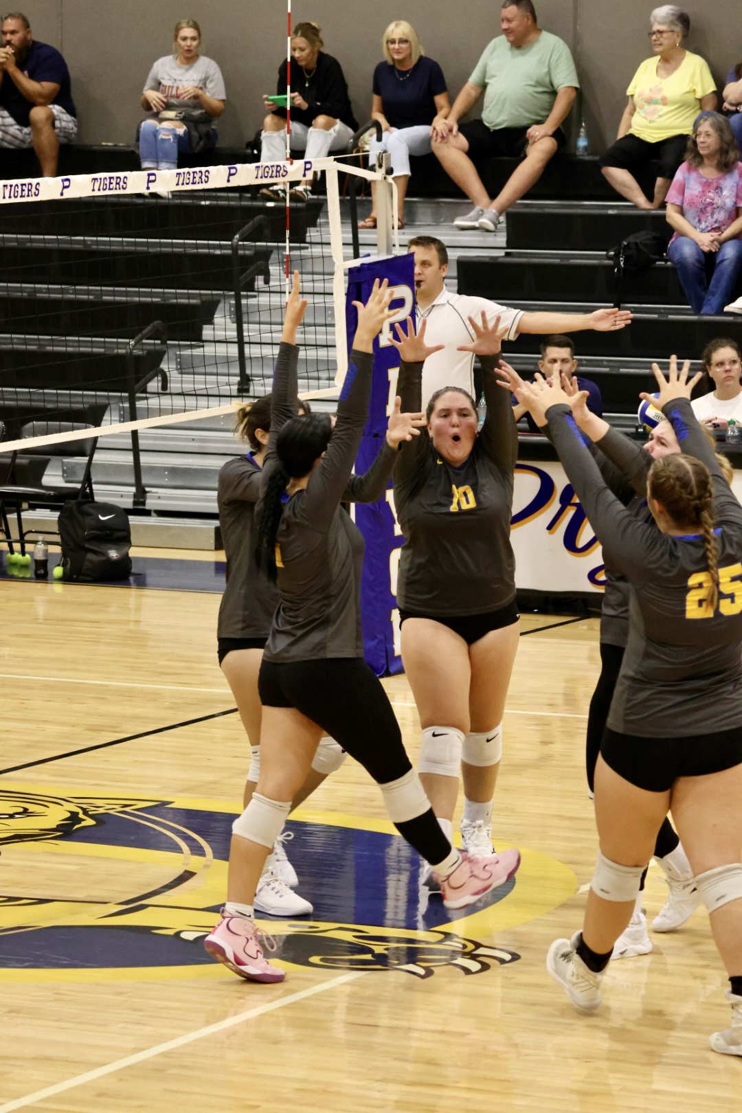 Volleyball Team Celebrates