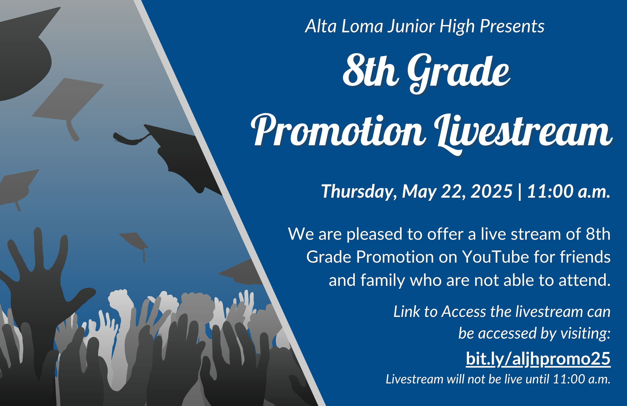 Promotion livestream flyer