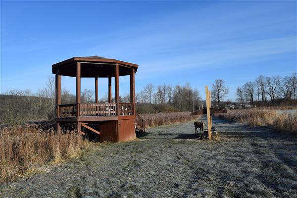 A white gazebo with a shingled roof sits in the center of a grassy field on a sunny day.