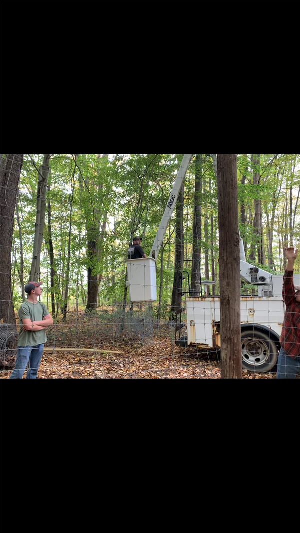 People using a bucket truck in the middle forest.