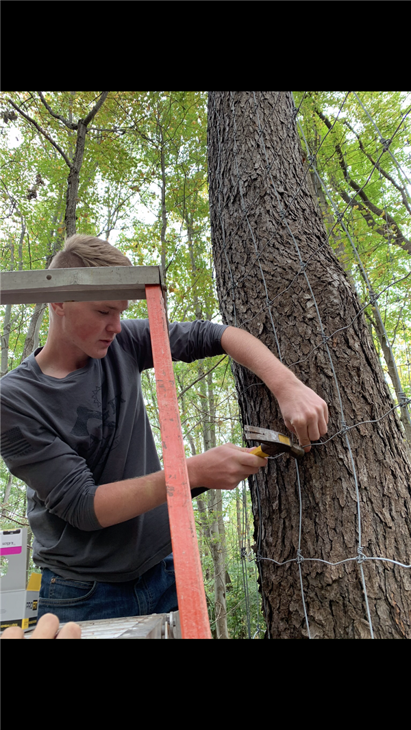 A boy using a hammer trying to fix the net in the tree.