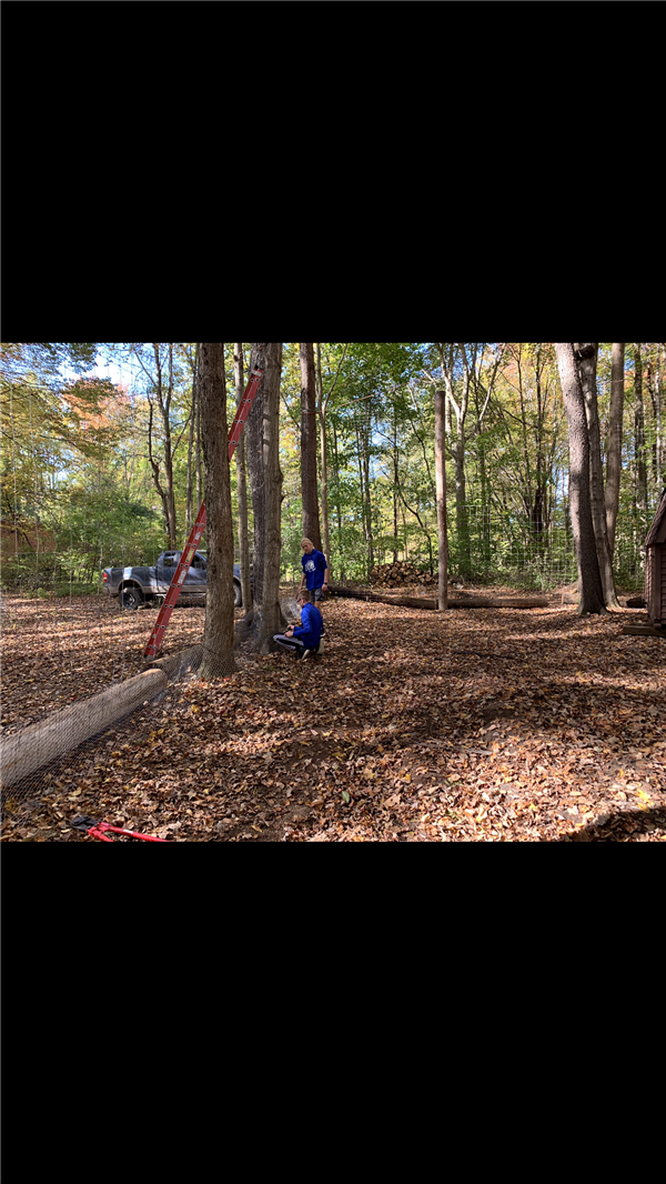 A girl and a boy in the middle of a forest with truck in the background.