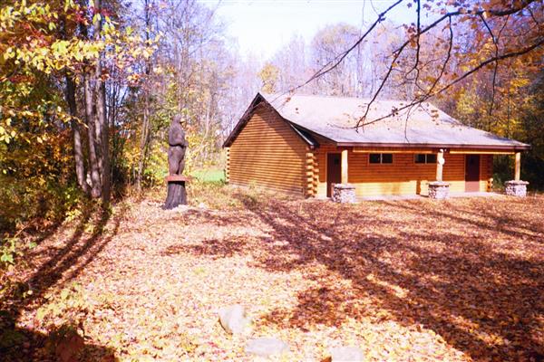 A log cabin nestled amongst the trees in a dense forest. Sunlight filters through the leaves casting dappled shadows on the ground.