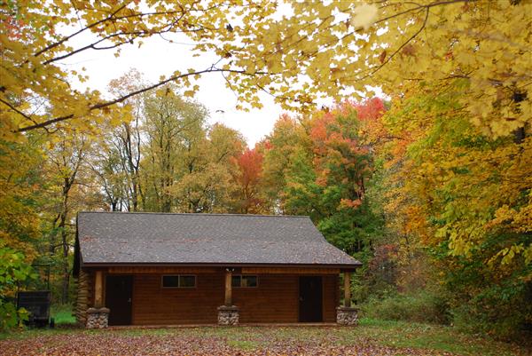 A rustic log cabin in the wilderness with a metal roof. Smoke drifts from the chimney and a wooden swing hangs from a large tree branch.