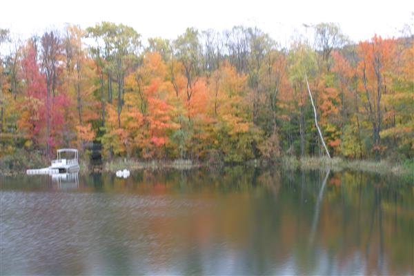 A calm lake with a wooden dock extending into the water. The trees surrounding the lake have colorful leaves, indicating fall foliage.