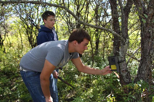 A guy checking his equipment that is attached to a tree.