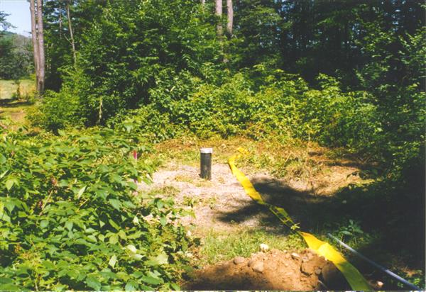 A gaping hole in the ground in the middle of a forest, surrounded by trees and underbrush. Yellow caution tape surrounds the opening.