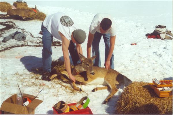 students by deer