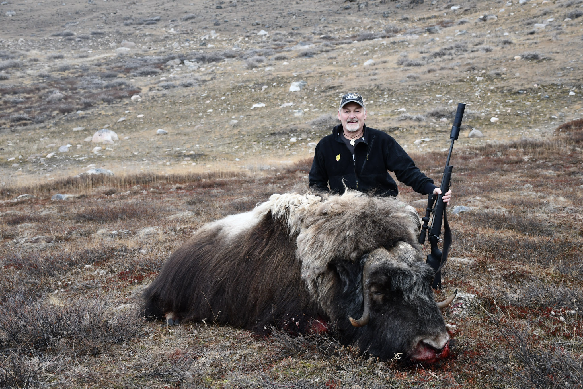 Mr. Jordan with a Musk Ox.