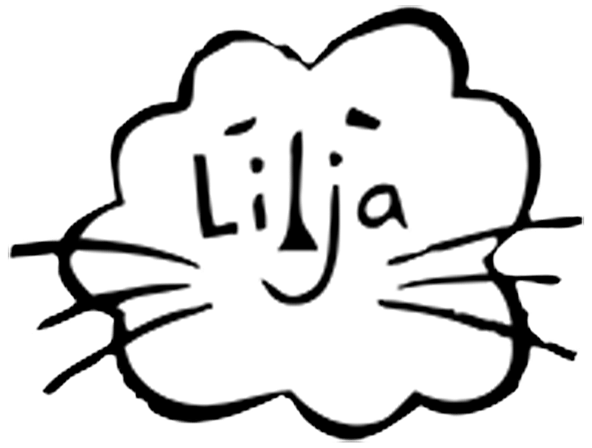 Mission Vision Values Lilja Elementary School Mission Vision Values Lilja Elementary School