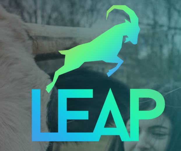 leap