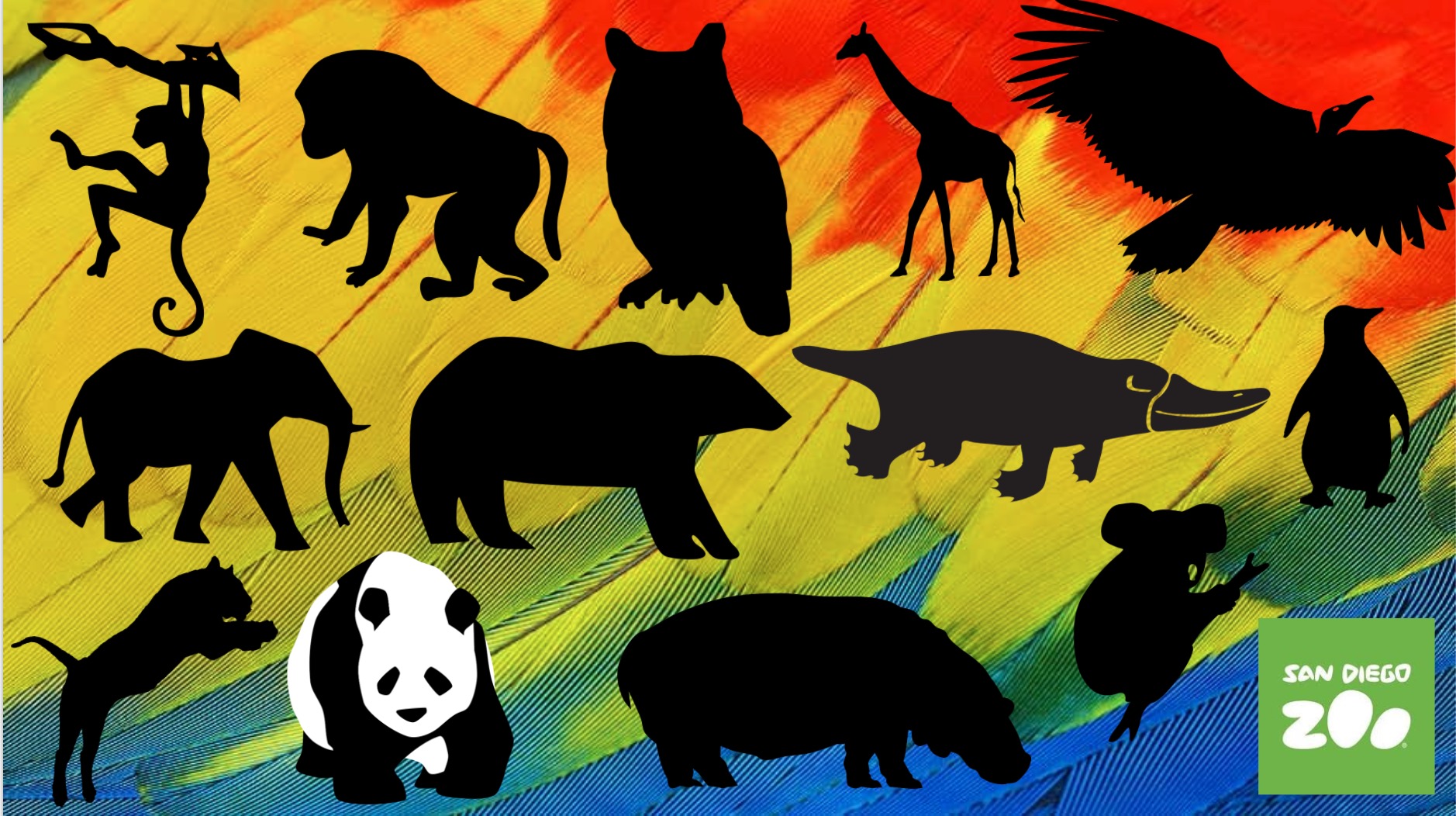 icon of different types of animals