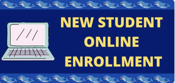 new student online enrollment