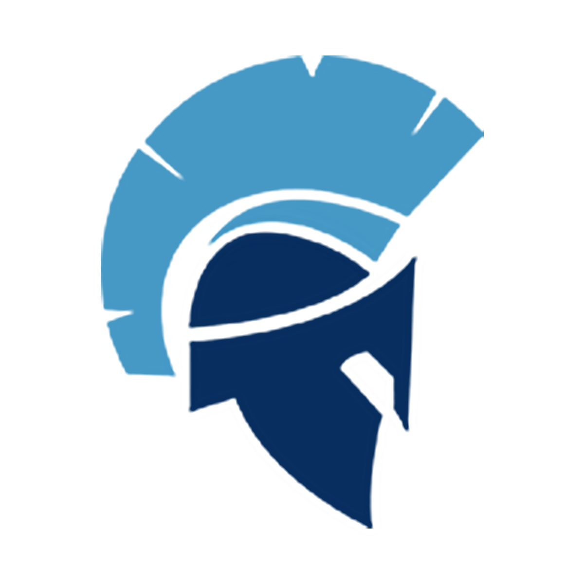 Office of Assessment and Professional Growth Mohawk Avenue School