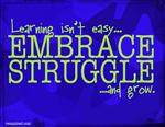 Embrace struggle graphic