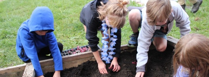 3rd Grade gardening 10.3.2024 at Andover Central School