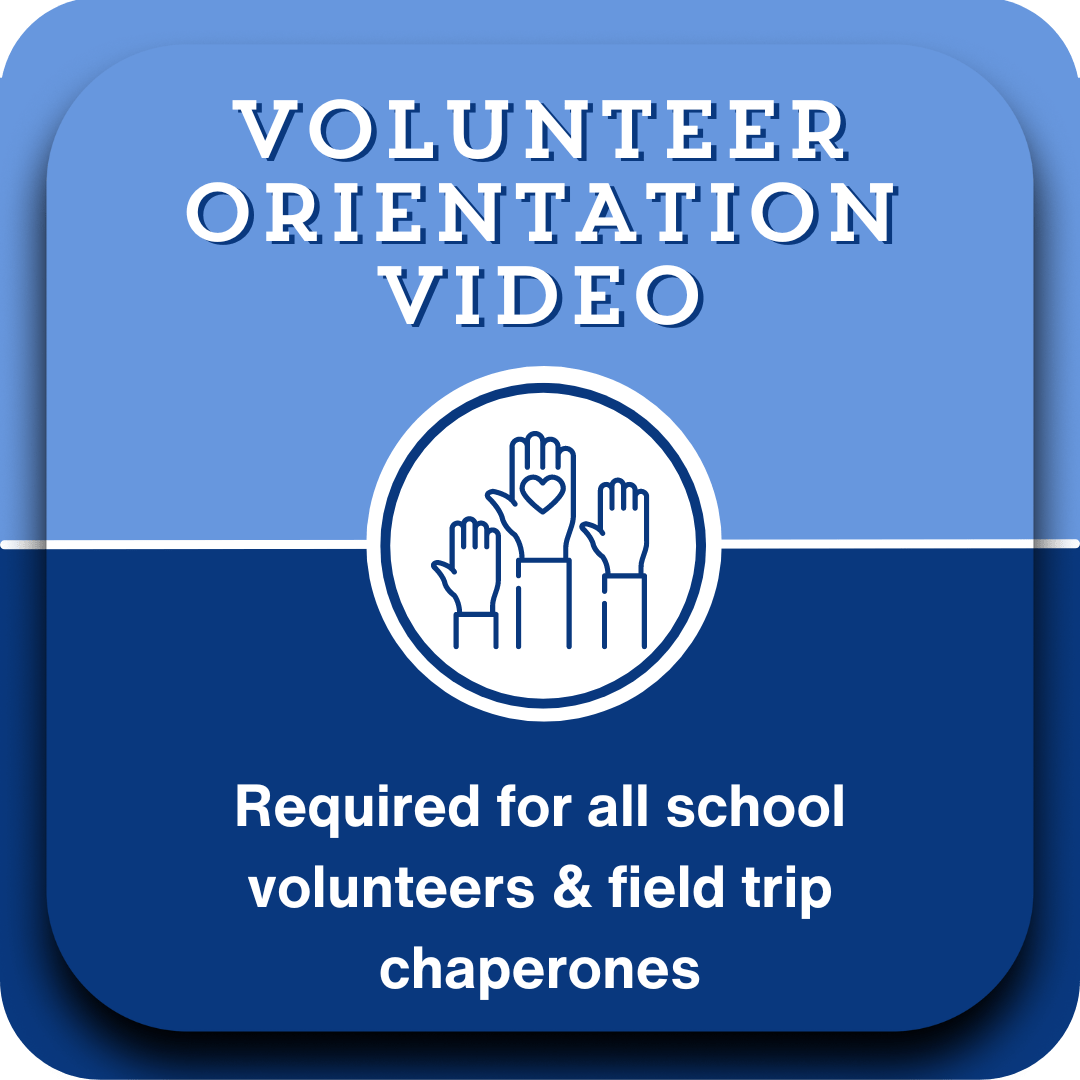 Volunteer Video 