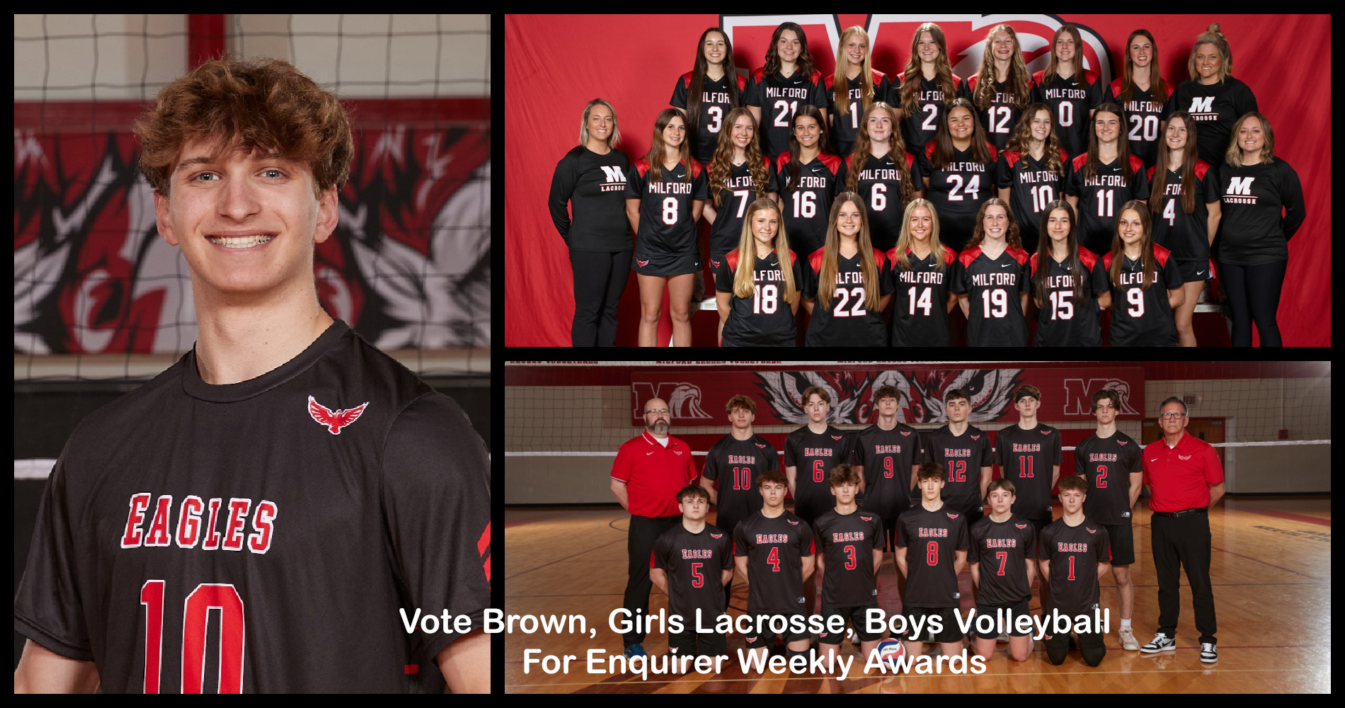 Vote Brown, Girls Lacrosse, Boys Volleyball For Enquirer Weekly Awards