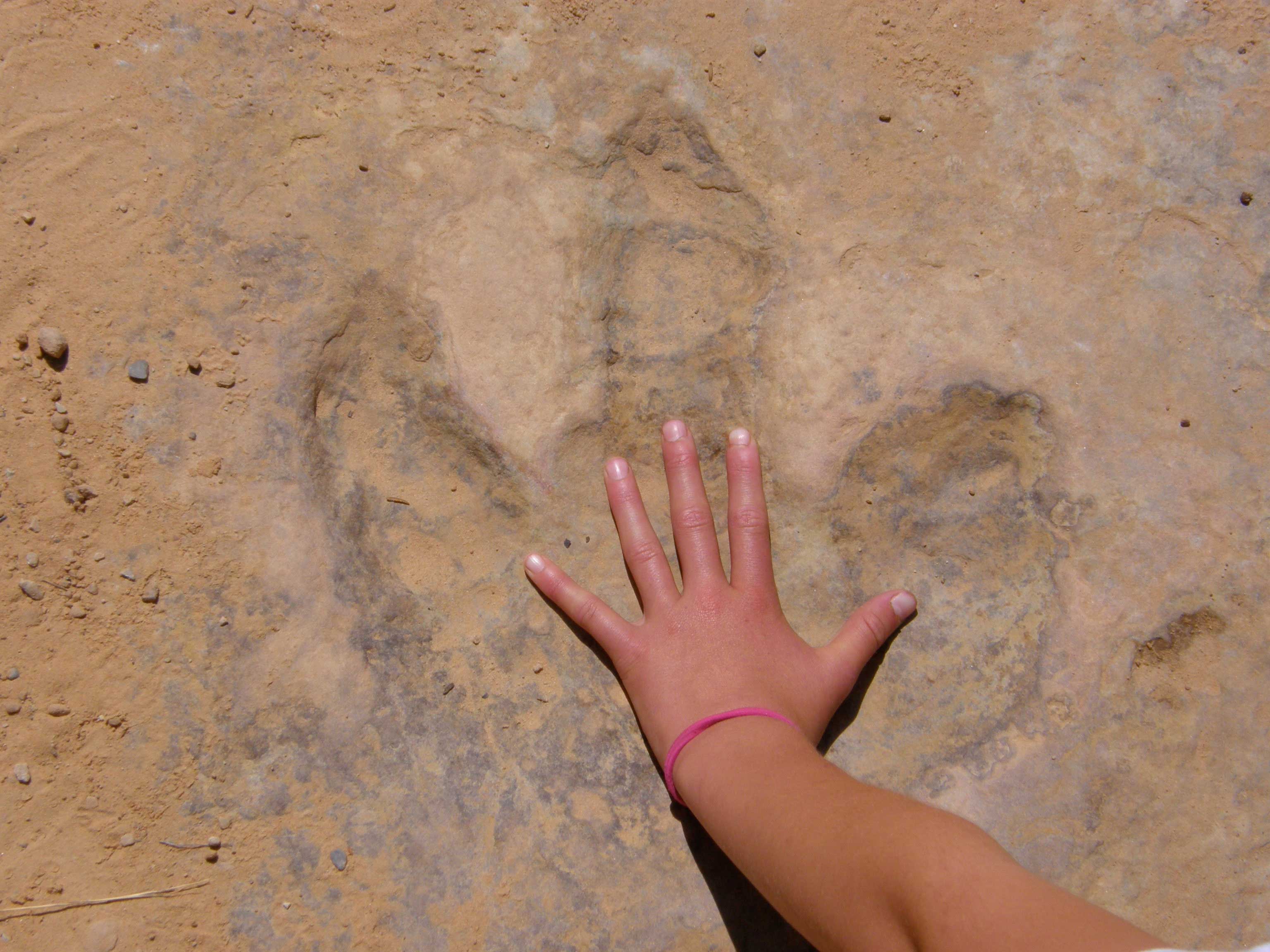 photo of Dinosaur footprint in the Navajo Sandstone, San Rafael Swell, Utah