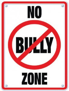 no bully zone banner