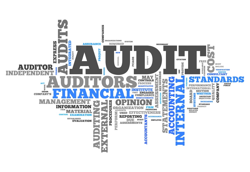 Picture that contains auditing words such as: Auditor, Independent, Financial, Accounting, Audits, Internal, External