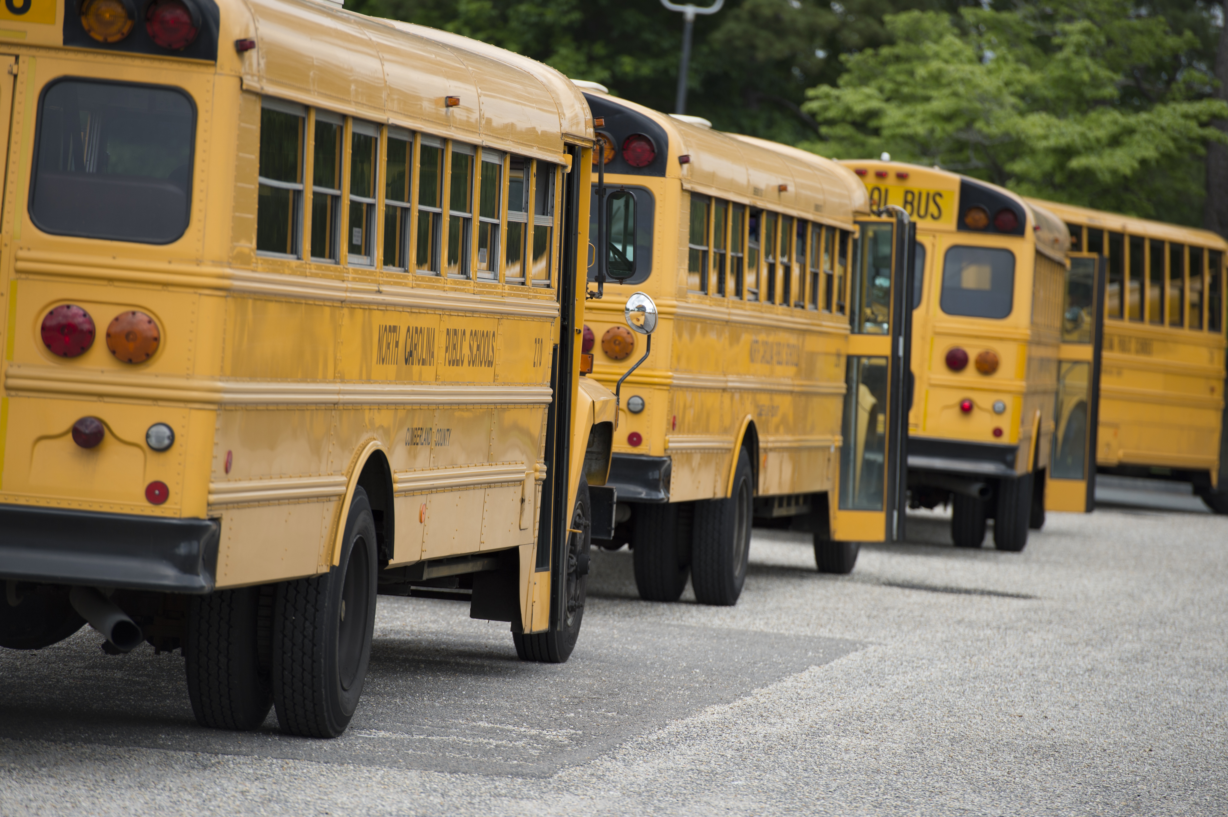row of buses