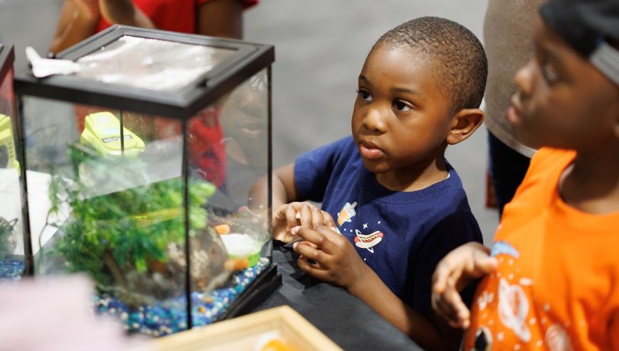 children looking at aqarium