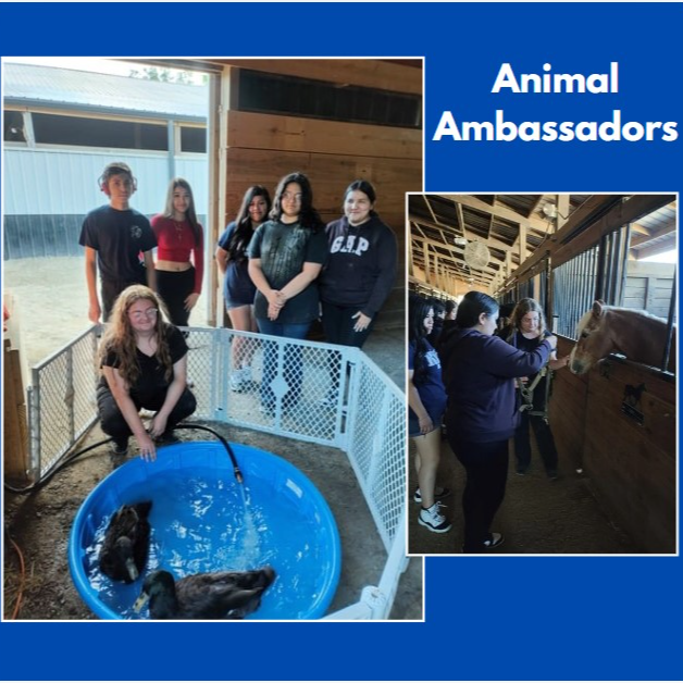 animal ambassadors