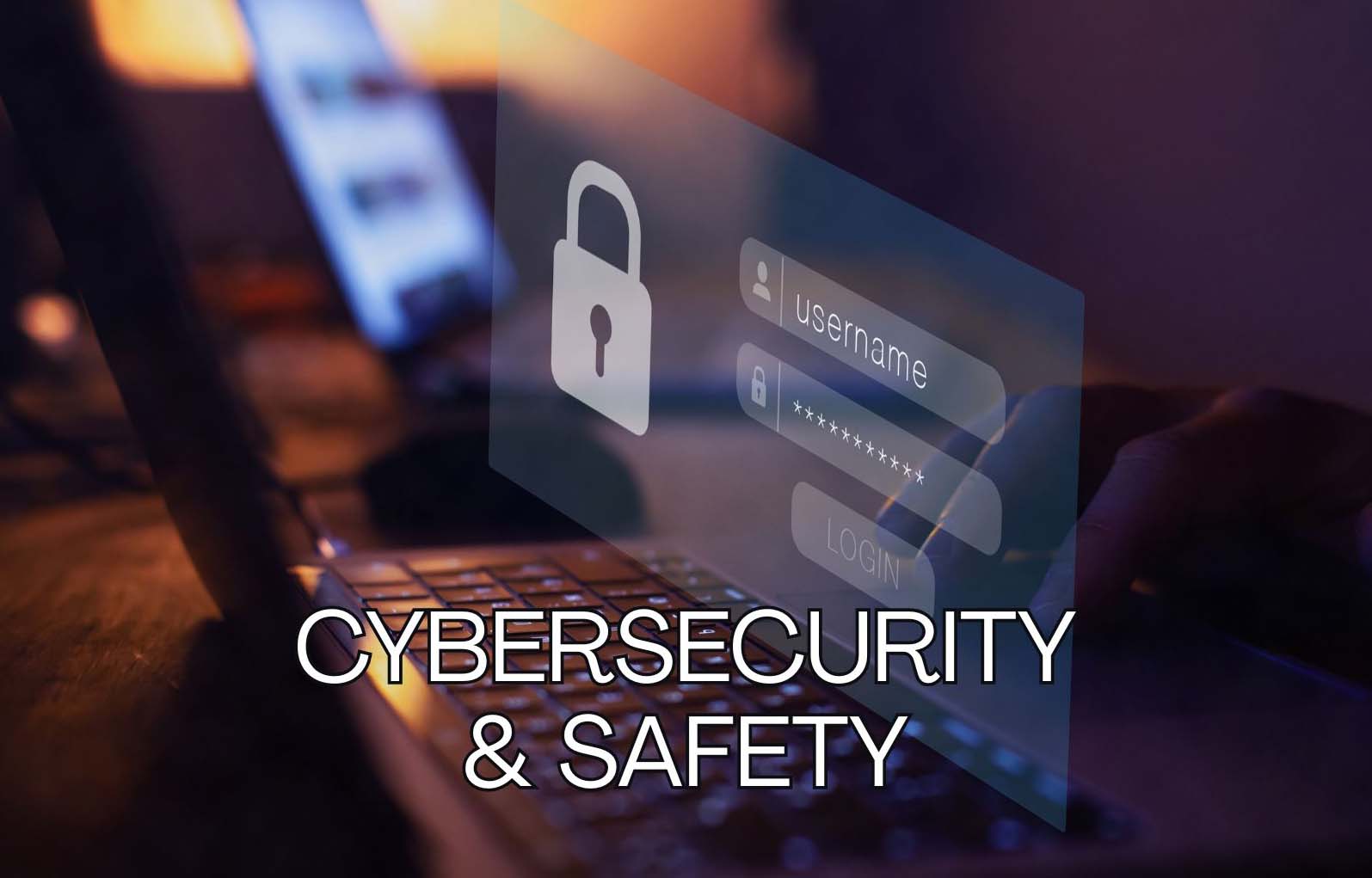 Cybersecurity and safety