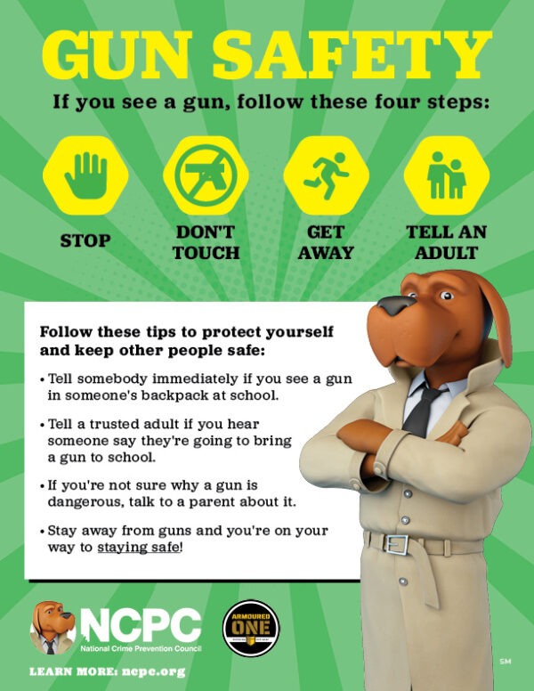 Safe Gun Storage