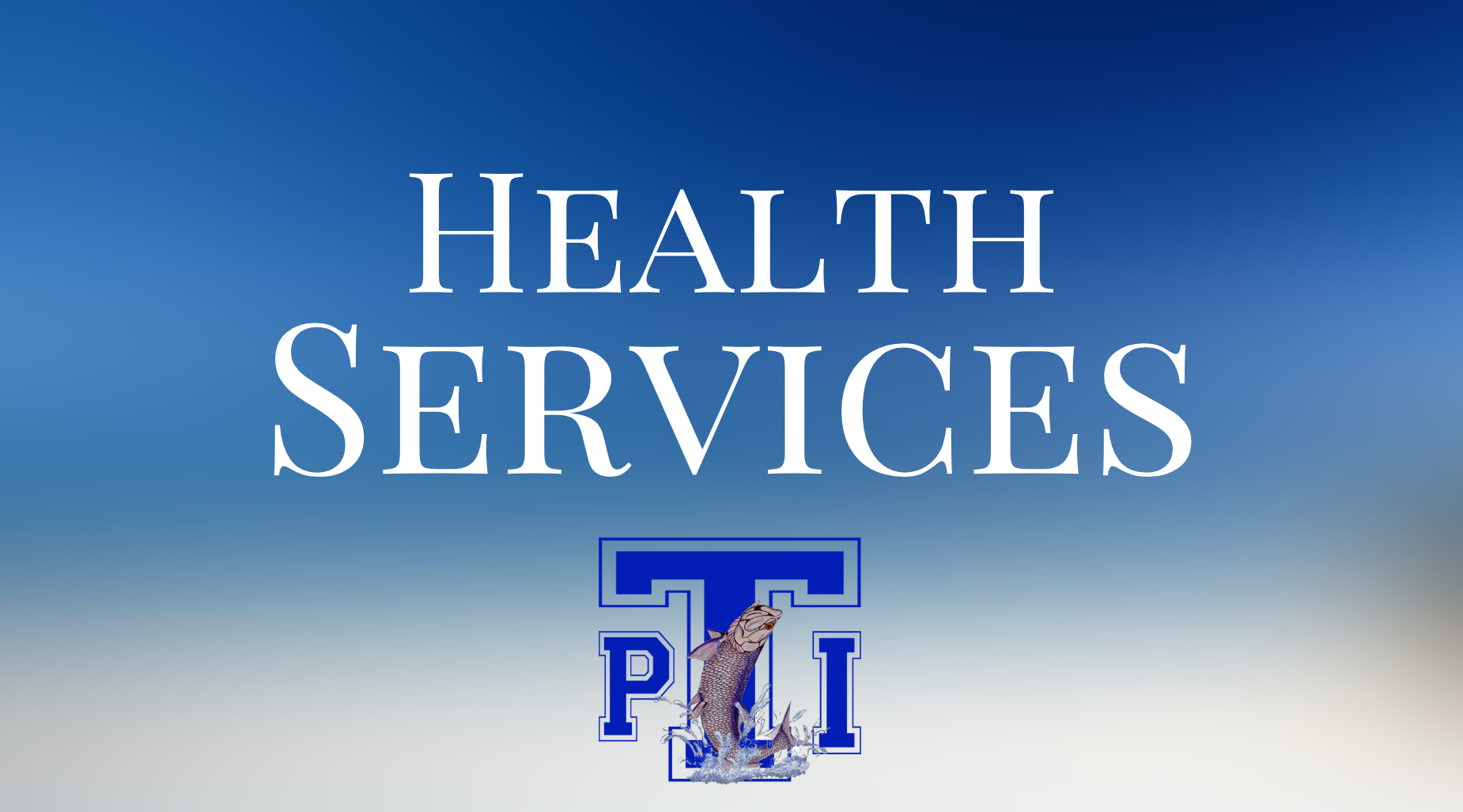 health services