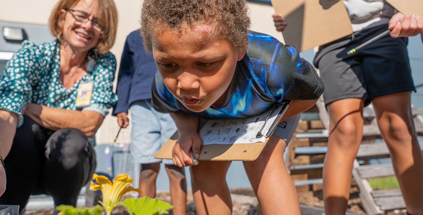 student observing flower plant in school garden