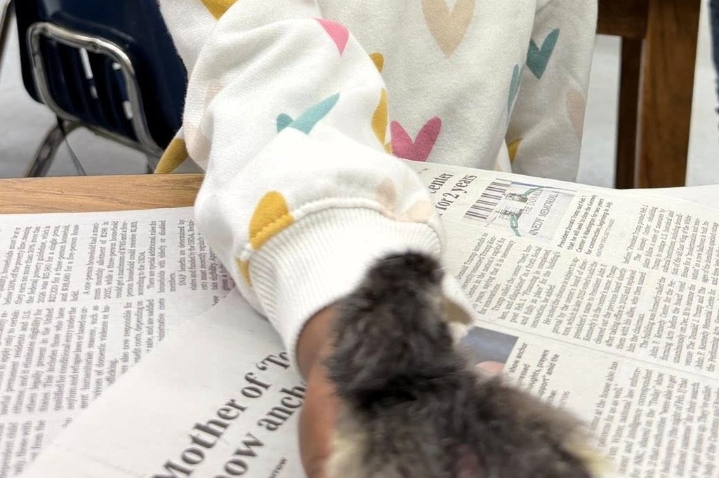 A young girl in a classroom with heart-patterned clothing holds a stuffed animal. A newspaper with "Mother of Invention" printed on it is in front of her.