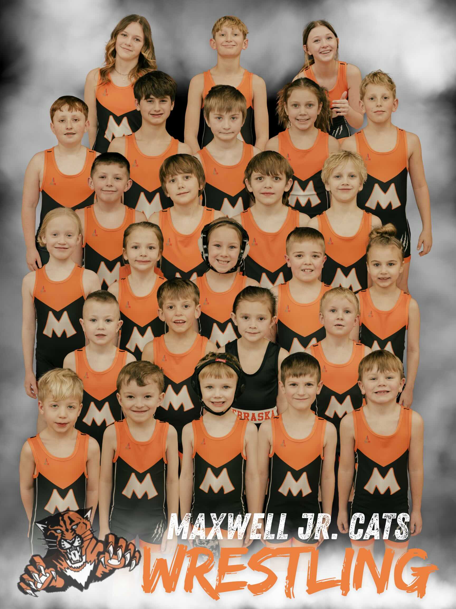 Little Cats Wrestling