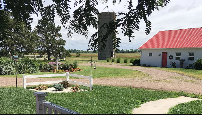 BUILDING WITH BIG GREEN YARD SPACE AND PLANTS 